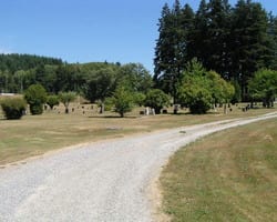 Hamilton Cemetery