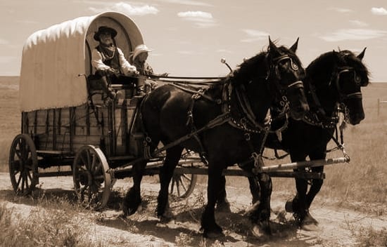 Wagon Train Diary - 1862 Prather and Hamilton